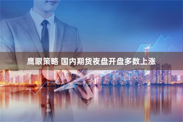 鹰眼策略 国内期货夜盘开盘多数上涨