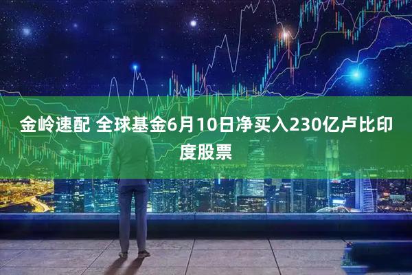 金岭速配 全球基金6月10日净买入230亿卢比印度股票