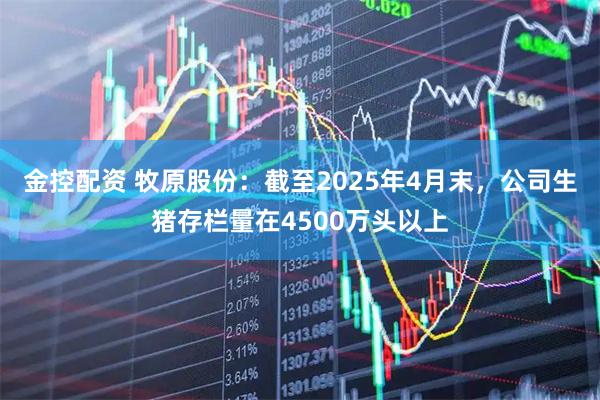 金控配资 牧原股份：截至2025年4月末，公司生猪存栏量在4500万头以上