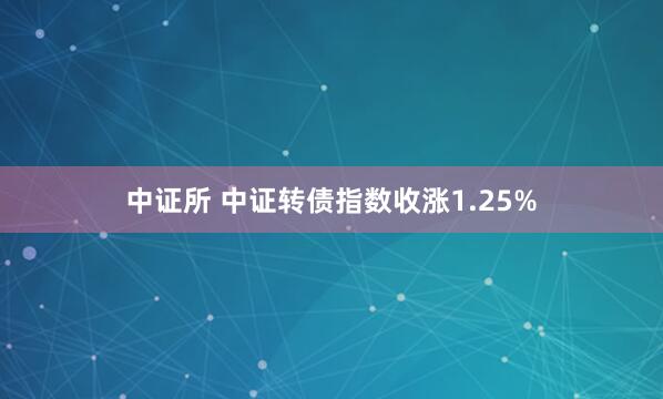 中证所 中证转债指数收涨1.25%