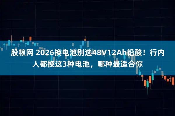 股粮网 2026换电池别选48V12Ah铅酸！行内人都换这3种电池，哪种最适合你