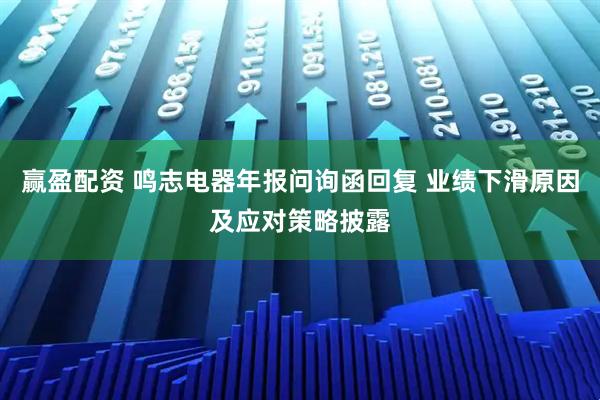 赢盈配资 鸣志电器年报问询函回复 业绩下滑原因及应对策略披露